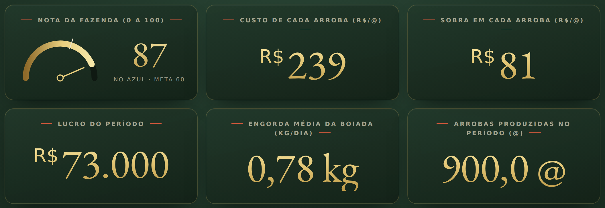 Tela real do Sistema de Gestão