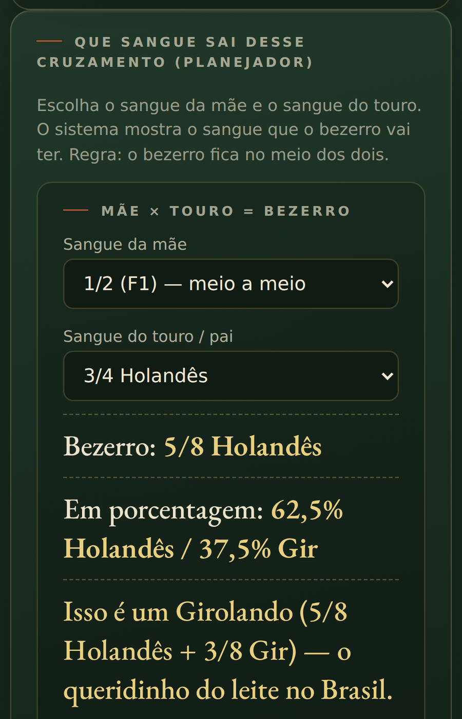 Tela real do Sistema de Gestão
