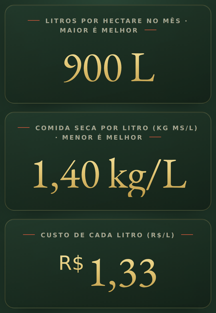 Tela real do Sistema de Gestão