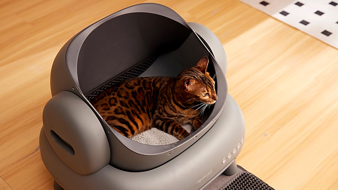 Descubra os critérios essenciais para escolher a caixa de areia autolimpante perfeita para seu gatinho, com dicas…