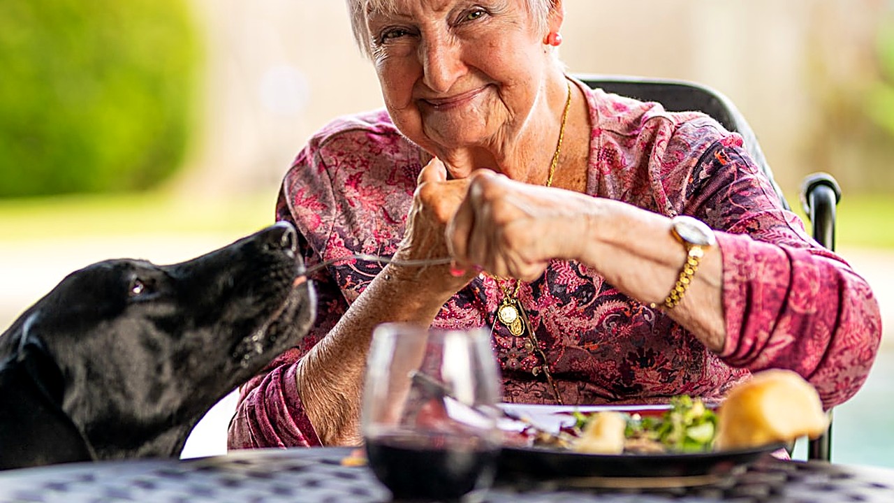 Aprenda passo a passo a incluir alimentos naturais na alimentação de cães idosos, garantindo saúde, paladar e bem‑estar…
