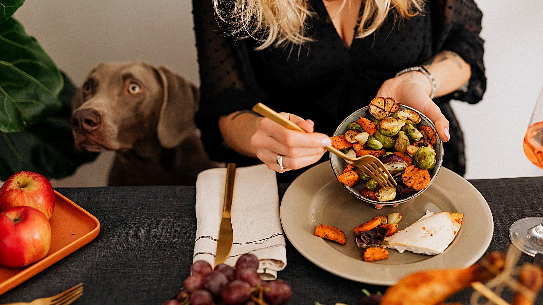 Descubra como petiscos caseiros podem aliviar alergias alimentares em cães, com receitas simples e benefícios…