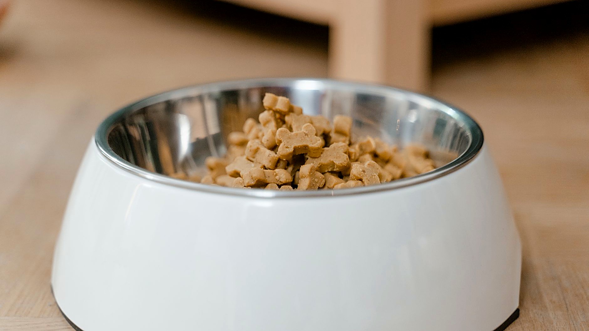 Aprenda passo a passo a mudar seu cão ou gato da ração para a alimentação natural, com dicas práticas, avaliação…