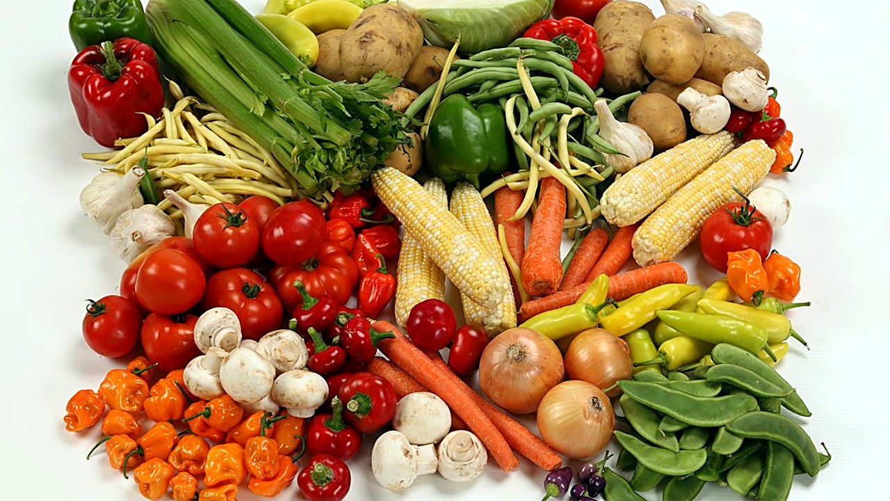 Descubra quais vegetais seu cão pode comer para substituir petiscos industrializados. Veja lista segura, quantidades…
