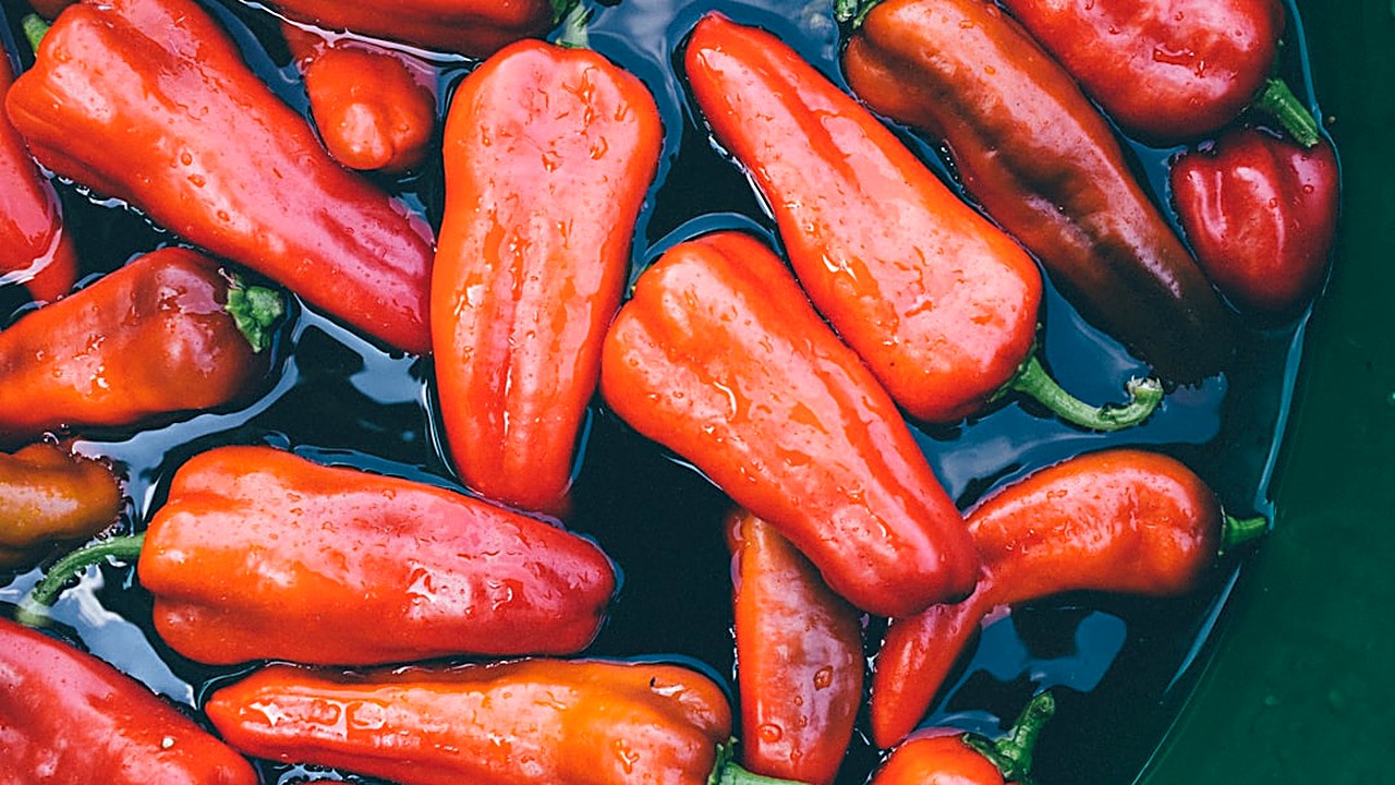 Descubre cómo usar el picante natural para aumentar tu metabolismo y perder peso sin necesidad de entrenar. Guía…