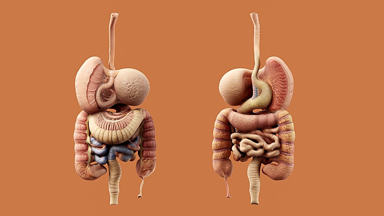 Trucos prácticos para aliviar la hinchazón abdominal sin pastillas ni ejercicio. Causas comunes y soluciones naturales…