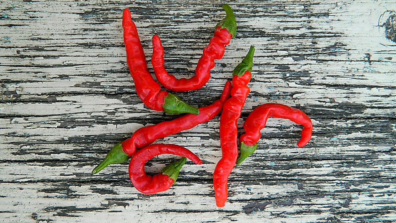 Aprende a reconocer chiles secos frescos con la prueba del doblez, el olor y el color. Señales de moho, cómo guardarlos…