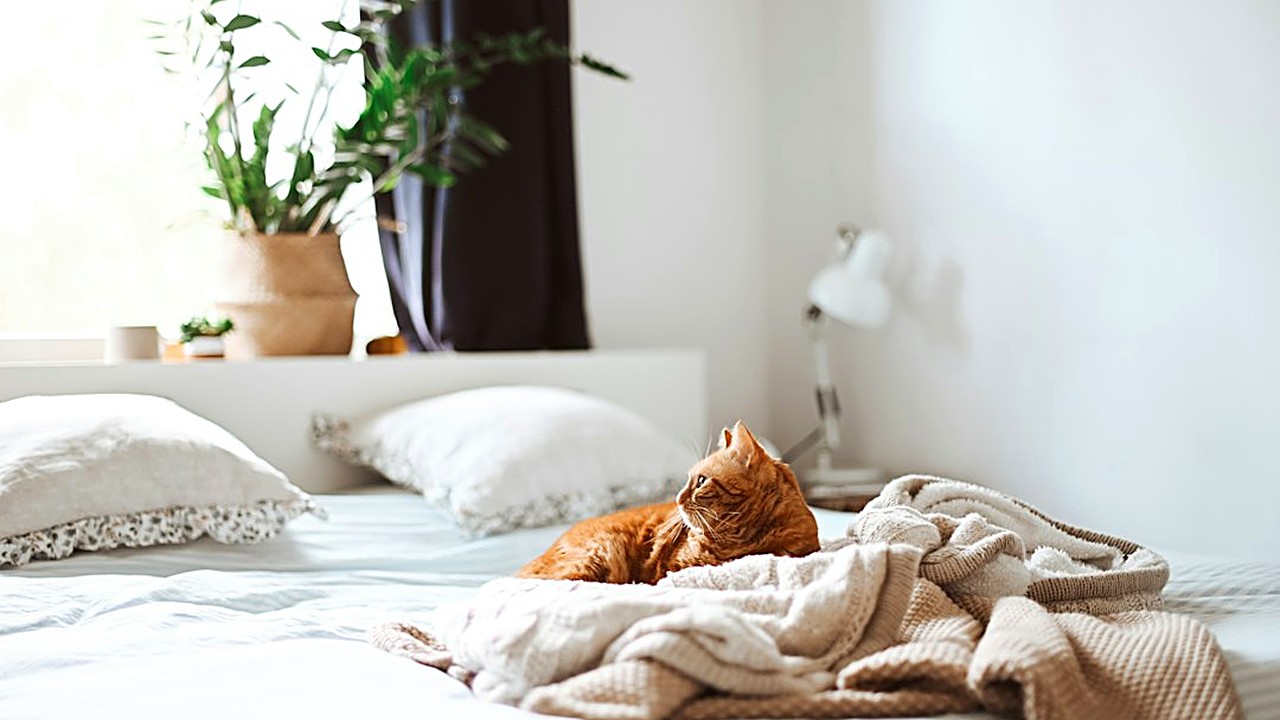 Haz tu dormitorio pequeño minimalista sin que se vea frío: qué sacar, cómo doblar la ropa, qué colores usar, luz cálida…