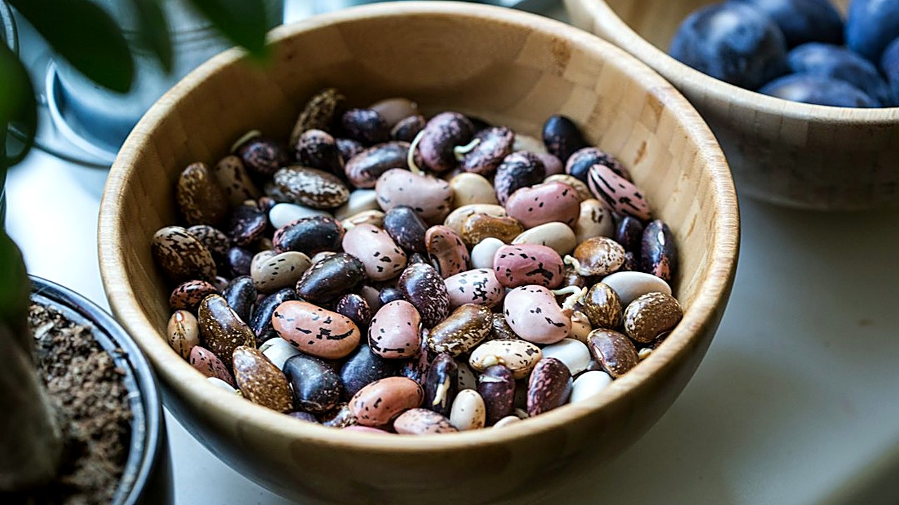 ¿Se te pasaron de sal los frijoles de la olla? Aprende a rescatarlos con agua, más frijoles o un buen acompañamiento…
