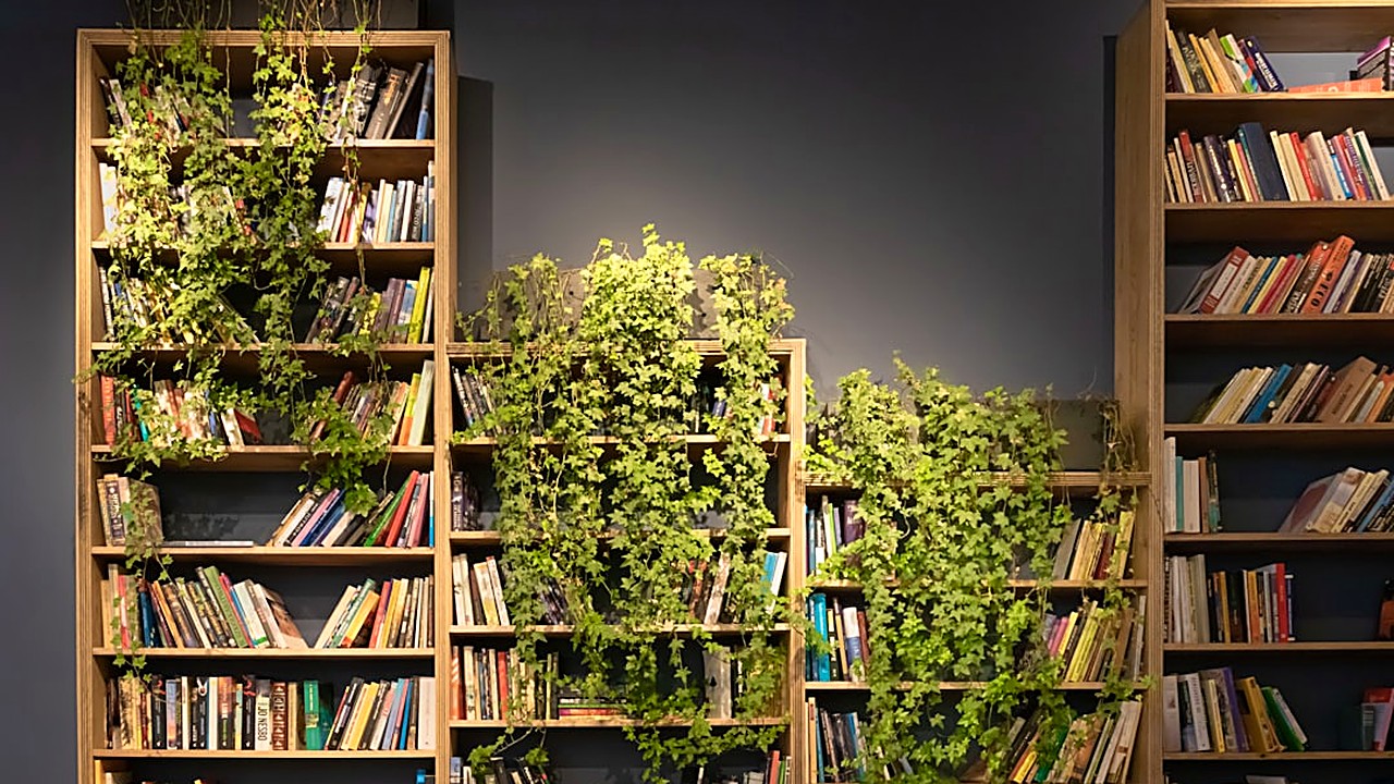Aprende a usar plantas artificiales para embellecer tu hogar sin sacrificar metros, con ideas prácticas y consejos…