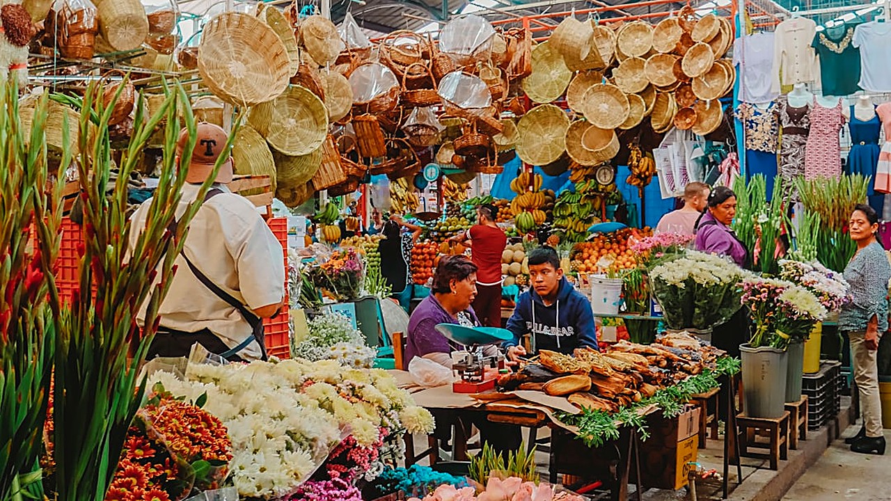 Descubre los mitos más comunes y las verdades respaldadas por la práctica y la historia de la cocina tradicional…