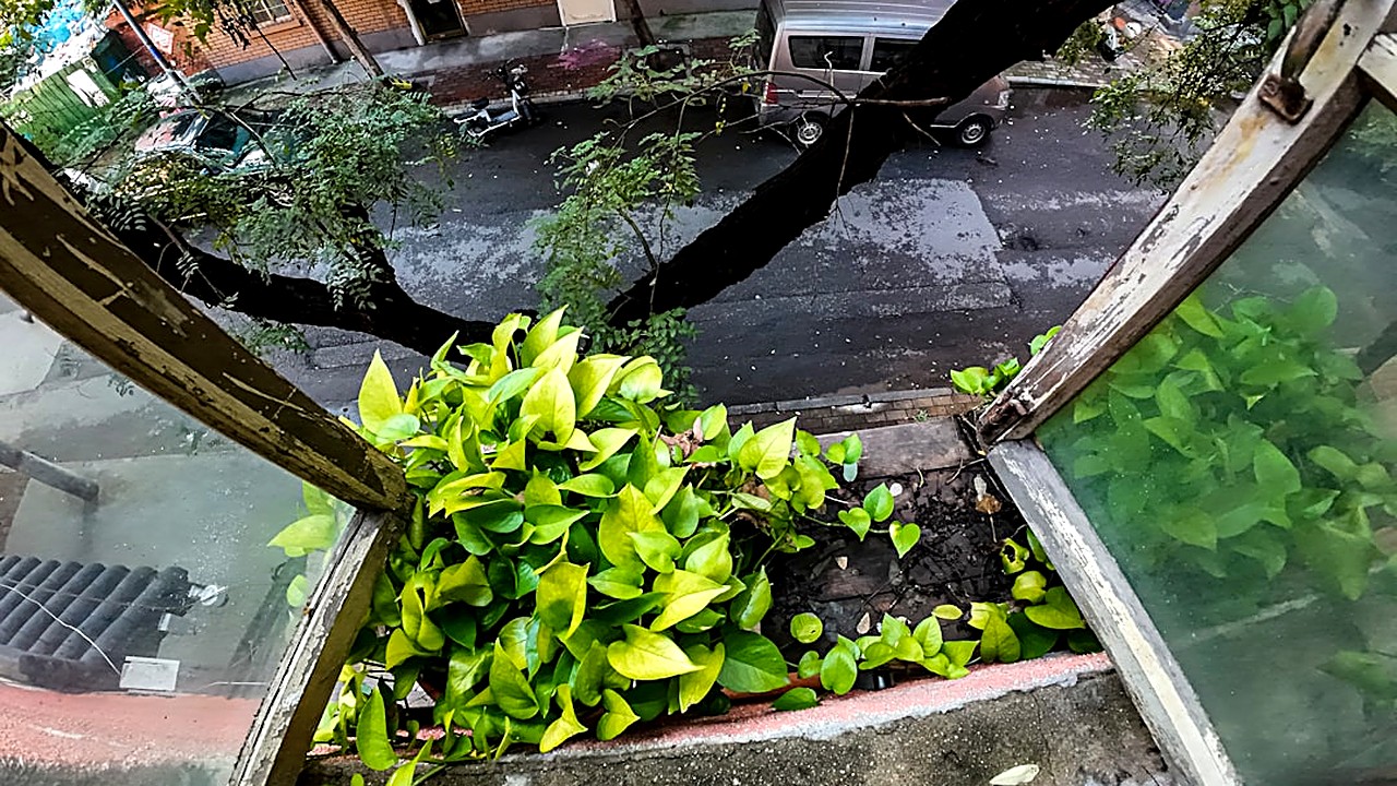 Trucos reales para colgar plantas en espacios reducidos sin gastar. Soluciones prácticas, baratas y bonitas para pisos…