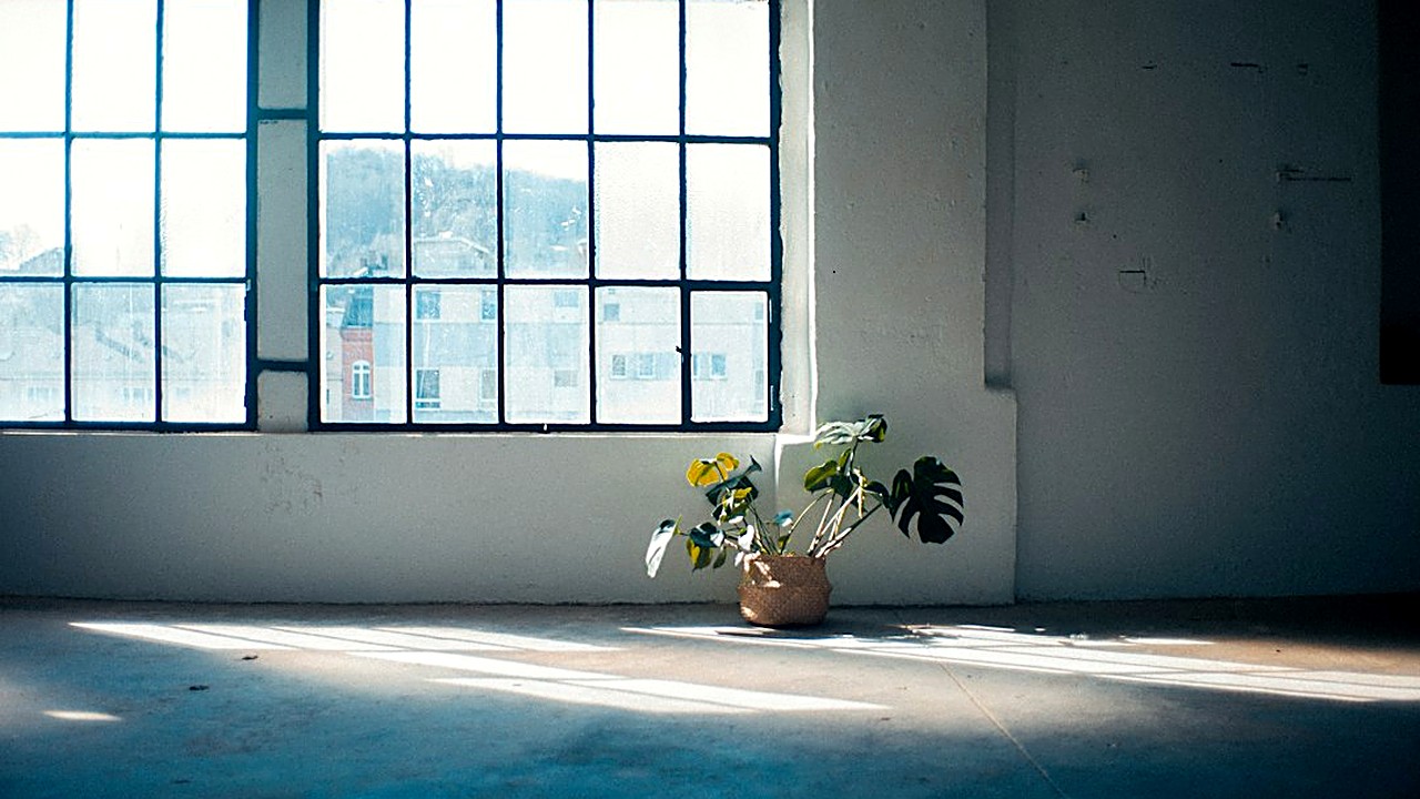 Dónde colocar plantas en un piso pequeño sin perder espacio ni luz: alturas, medidas, plantas según la luz de cada…