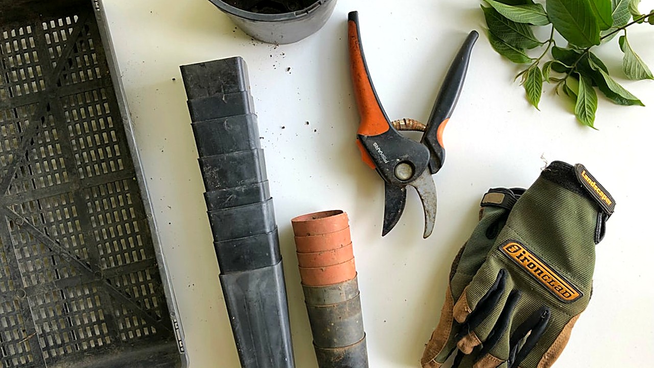 Aprende a reparar y mantener tus herramientas de jardinería de forma efectiva