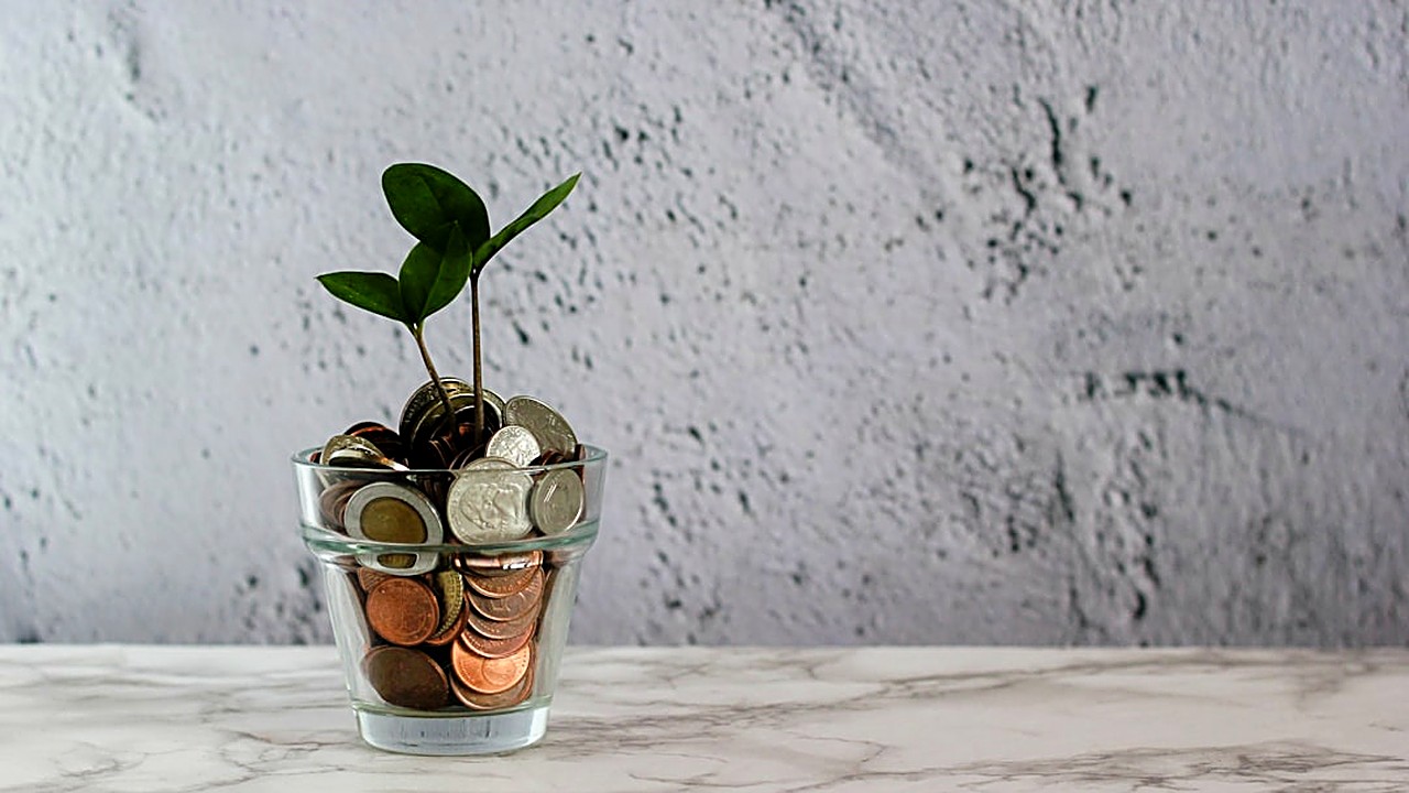 Learn which savings account types maximize emergency fund growth, compare yields, liquidity, and safety, and find…