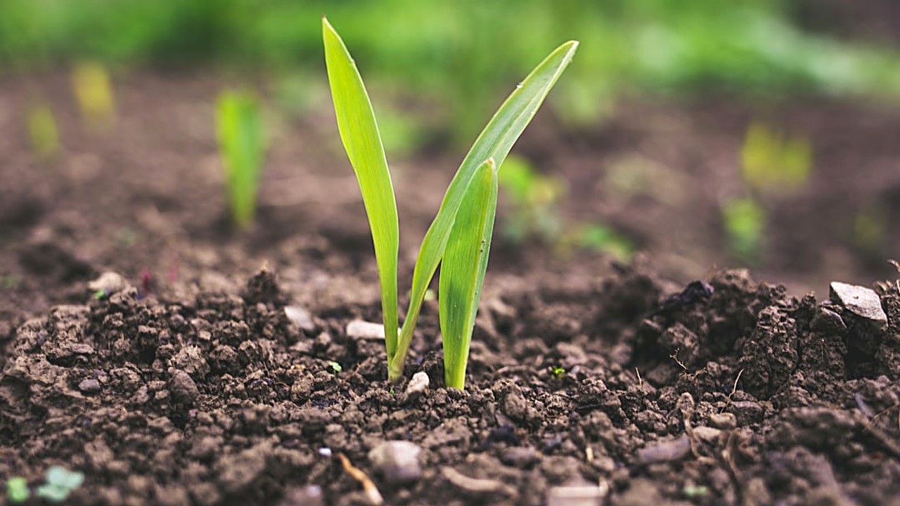 Learn the exact steps to pick your first index fund. Avoid common mistakes. Start investing confidently with low-cost…