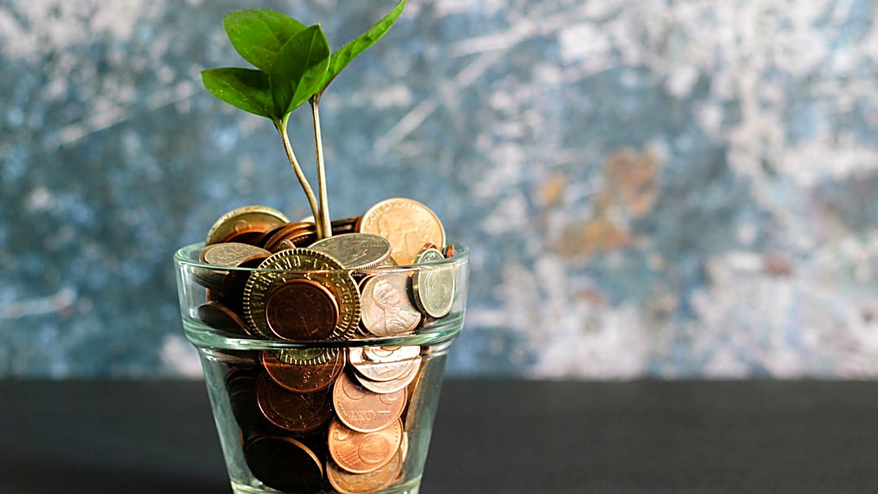 Learn how little you can begin investing in a diversified index fund portfolio, the factors that affect the minimum…