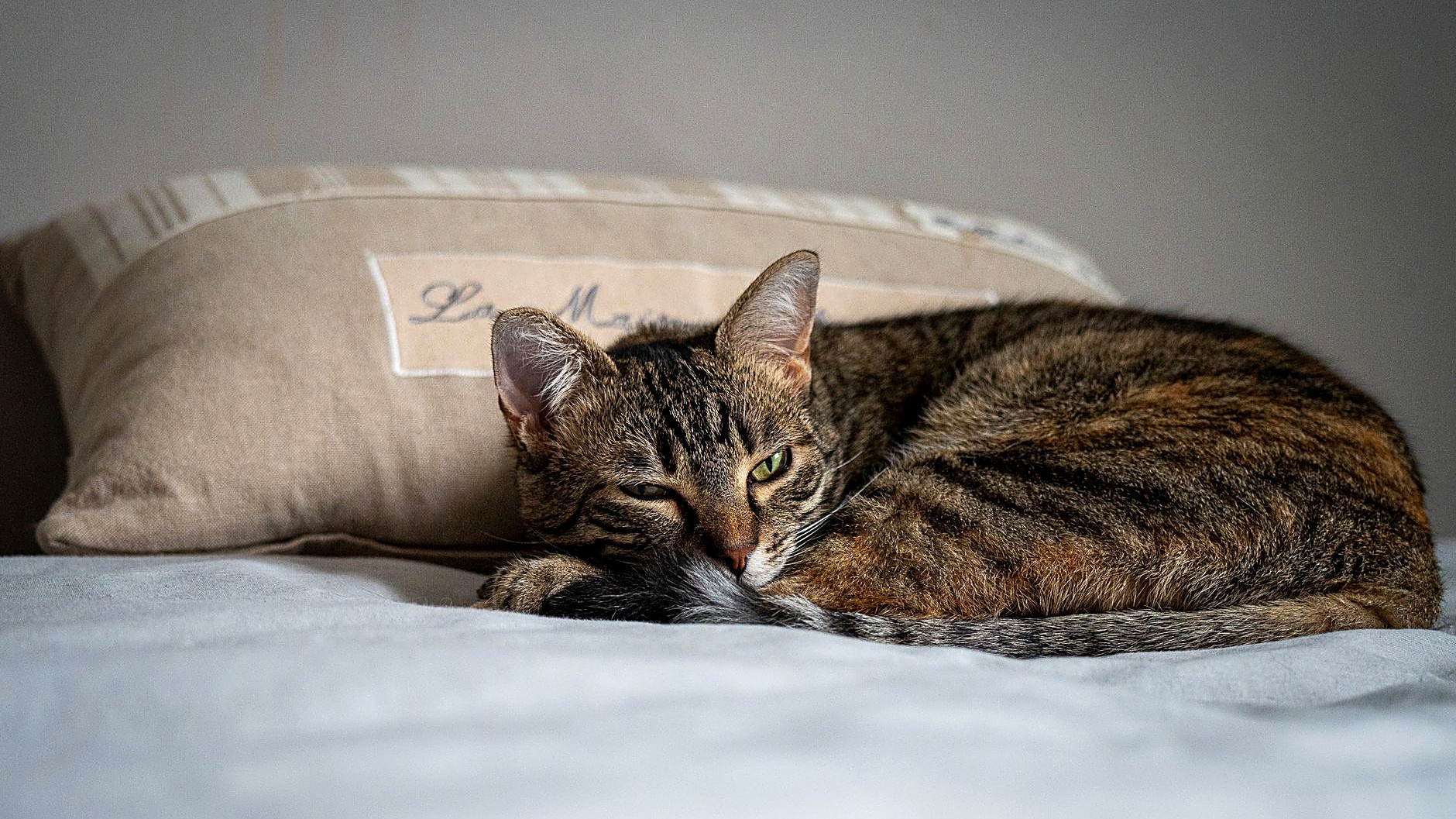 Learn simple, natural ways to create a peaceful bedtime routine that helps you sleep deeper and wake up refreshed.