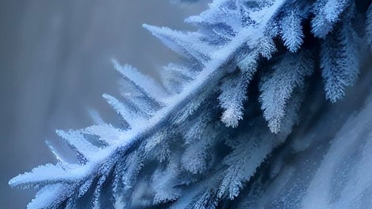 Does cold weather worsen ringing in ears? Learn why it happens and practical ways to cope with tinnitus in winter.