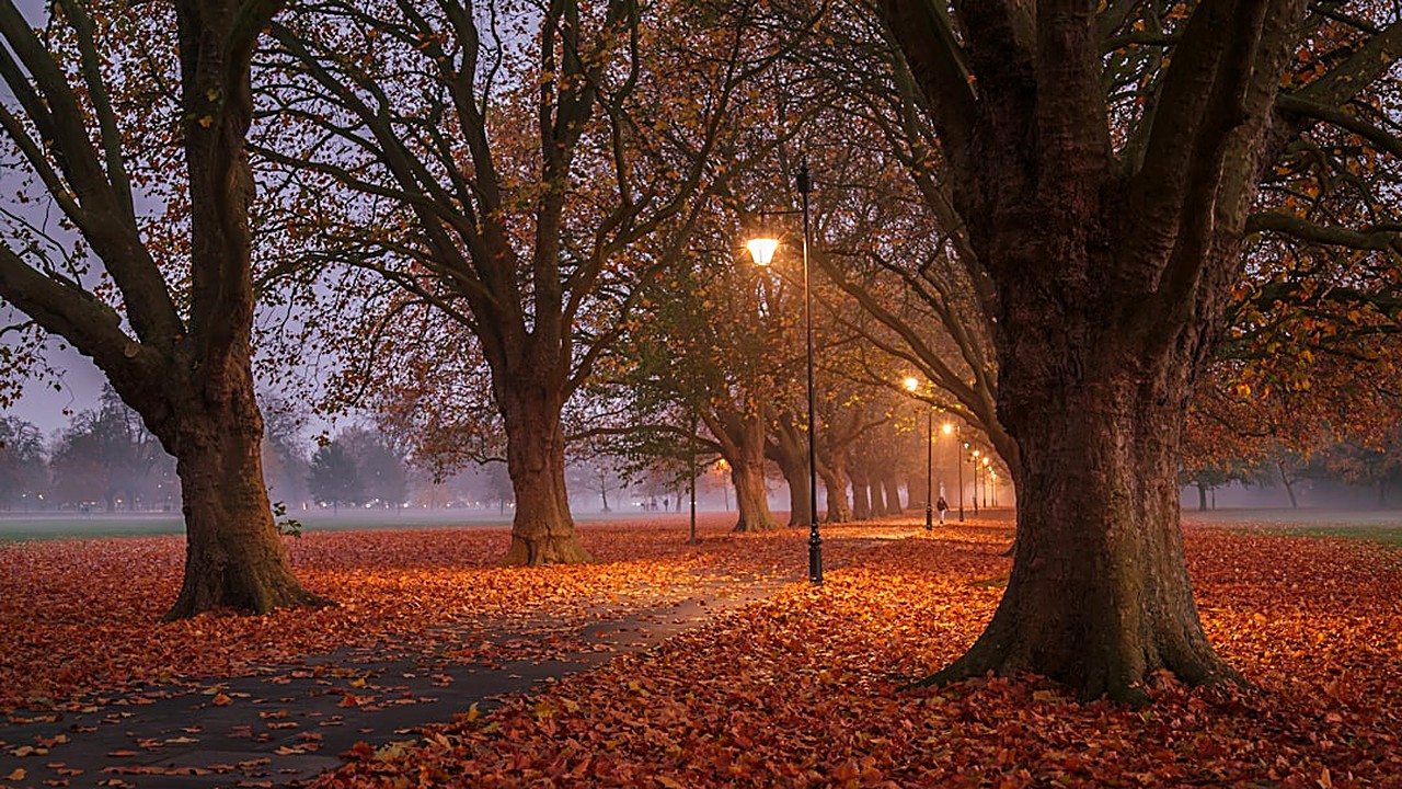 Learn how short evening walks can calm your mind and body for deeper sleep without pills or screens.