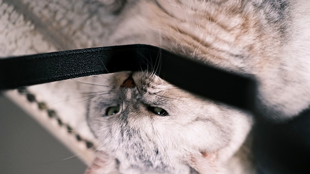 Learn practical steps to choose, wear, and combine a sleep mask with simple habits for better sleep. Easy tips…