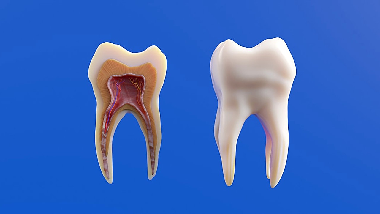 Learn safe, natural ways to help gums pull back from teeth. Gentle tips for daily care without harsh chemicals or risky…