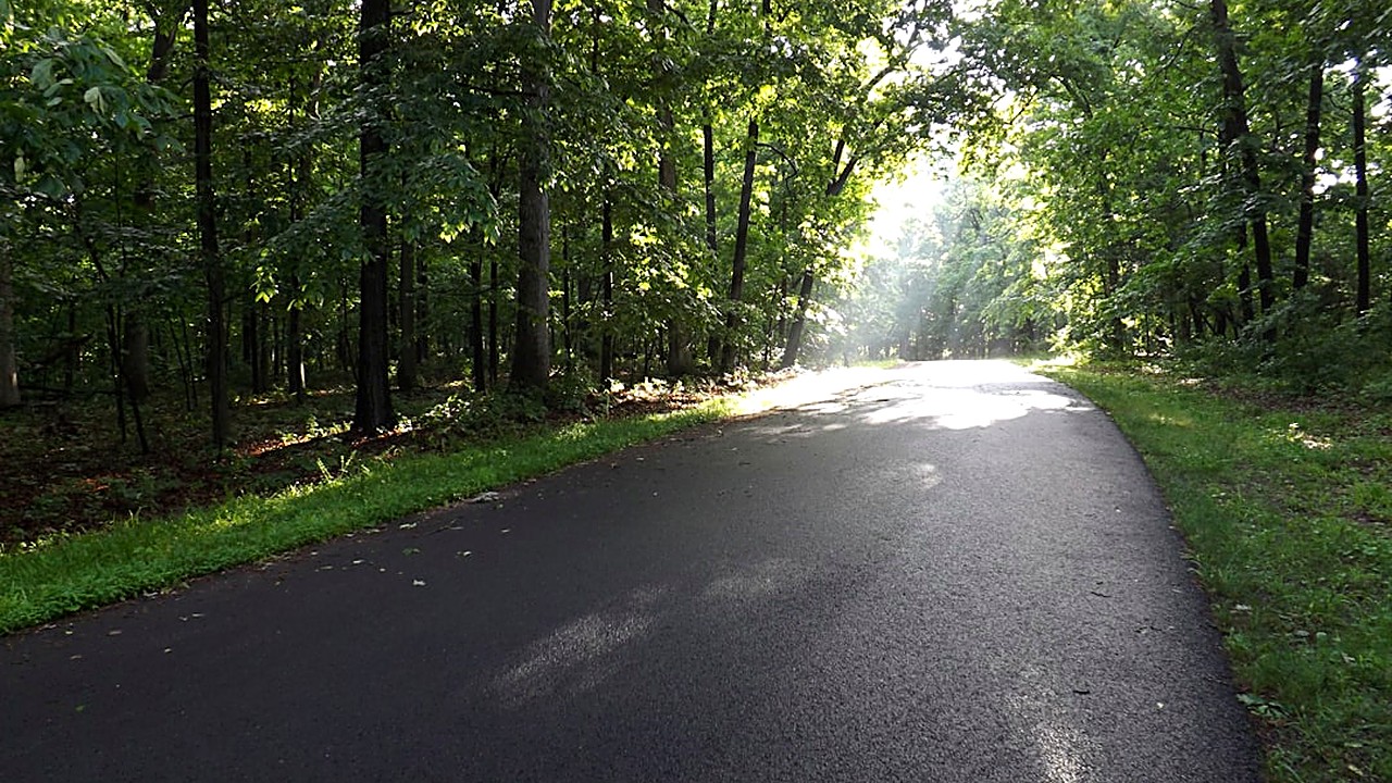 Learn how short, easy morning walks can support lower blood sugar levels. Practical tips, safety advice, and real‑life…