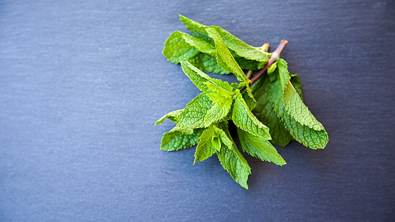 Learn easy, practical steps to freshen breath caused by gum issues. Simple daily habits, home tips, and signs to seek…