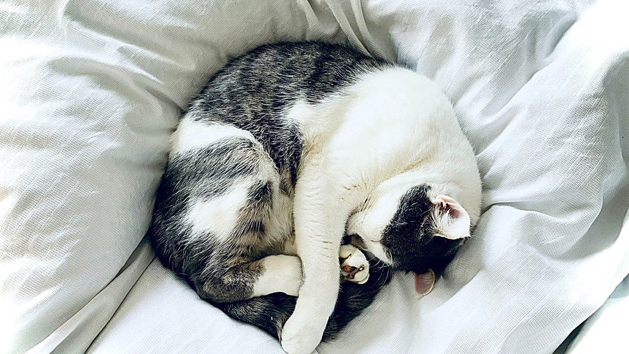 Learn natural sleep positions to help with insomnia