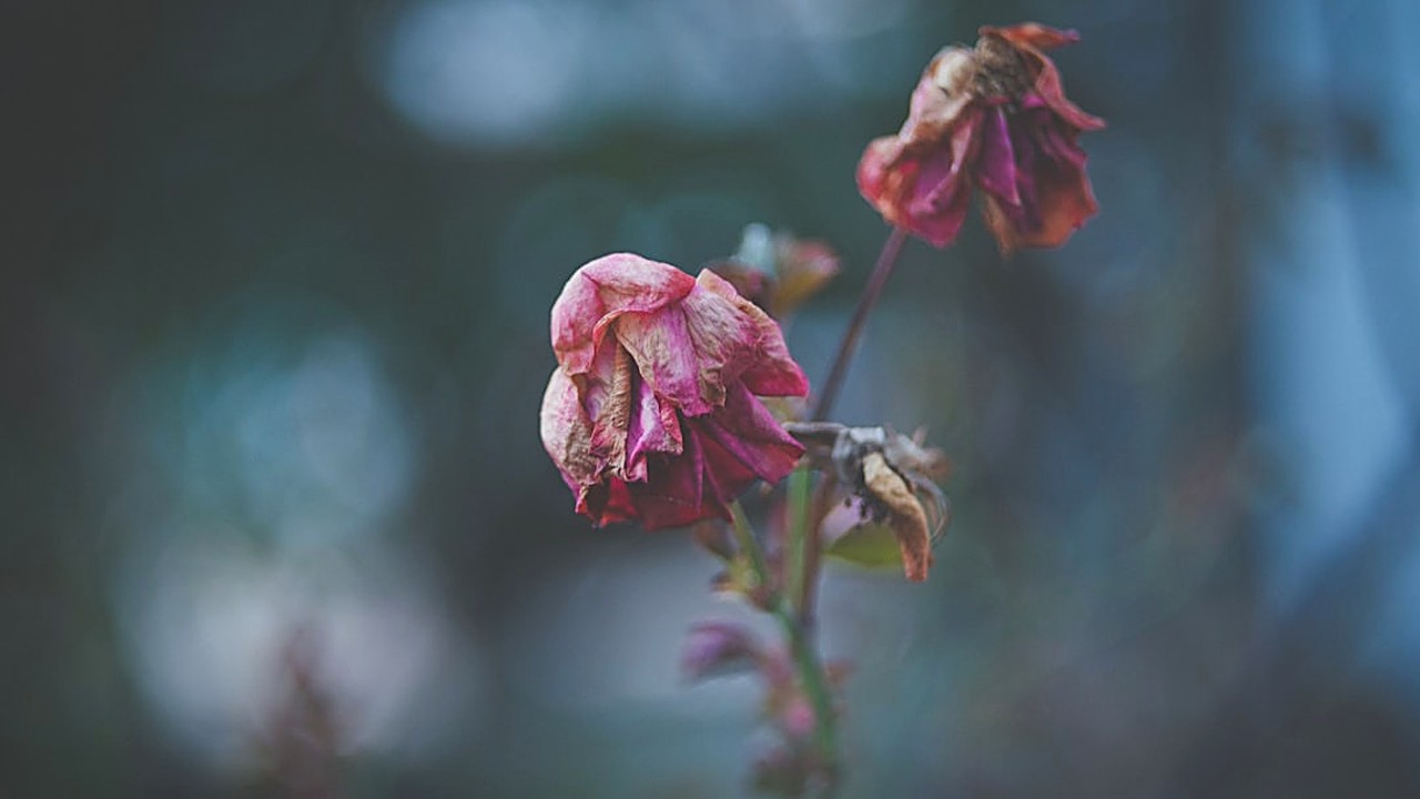 Discover if your ex still has feelings for you