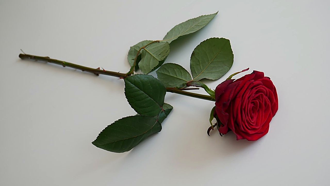 Learn signs your ex is ready to reconcile