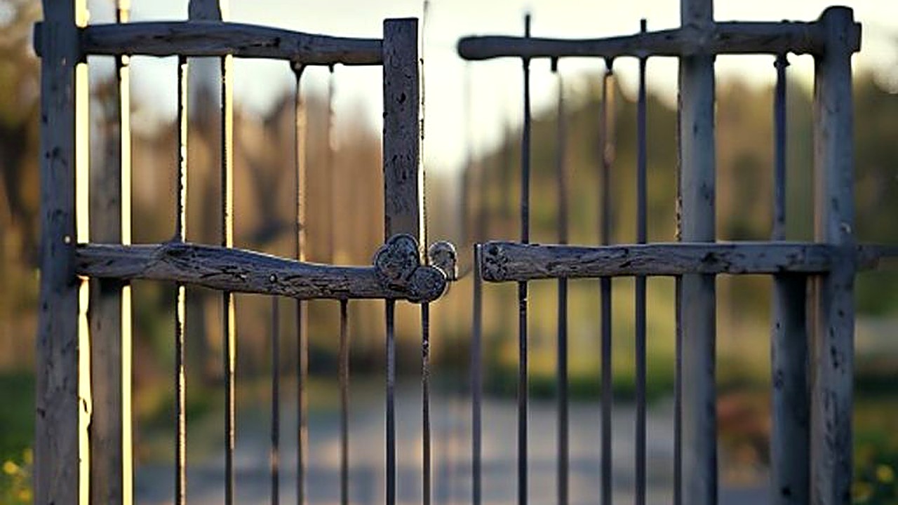 Aprende a establecer límites claros durante el contacto cero y a hacerlo sin sentir culpa. Guía paso a paso con…