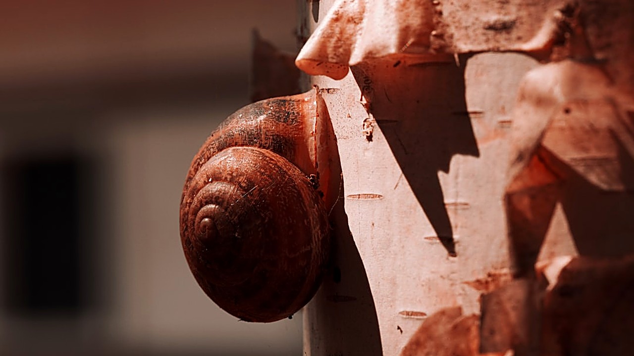 Learn five easy tests to spot a slow hosting plan, with real data, tools, and tips to improve site speed.